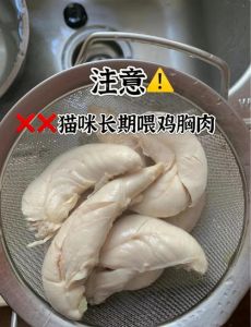 猫第一次吃鸡胸肉反应很大_警惕！猫咪吃鸡胸肉，生食有风险，煮熟辅食更安全！