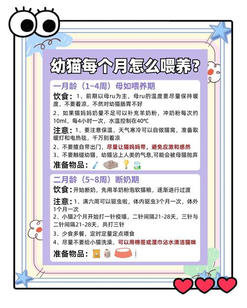 猫刚下完崽要注意什么_细心观察母猫恶露与小猫初乳 猫刚下完崽要注意什么_细心观察母猫恶露与小猫初乳