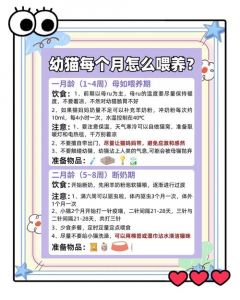 猫刚下完崽要注意什么_细心观察母猫恶露与小猫初乳