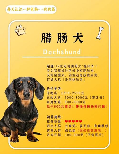 普通的火腿肠可以喂狗吗_警惕!火腿肠伤幼犬肠胃,天然零食更健康 普通的火腿肠可以喂狗吗_警惕!火腿肠伤幼犬肠胃,天然零食更健康