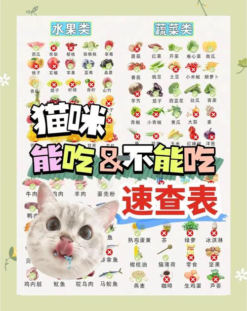 猫可以尝出什么味道_基本尝不出甜,怕辣,少盐多闻 猫可以尝出什么味道_基本尝不出甜,怕辣,少盐多闻