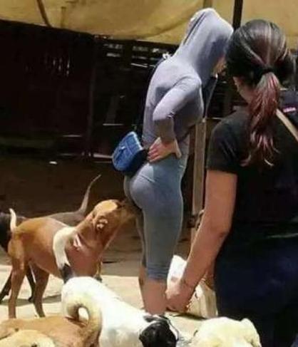 狗闻女生的裆部代表什么_狗狗闻裤裆是表达爱意和问候