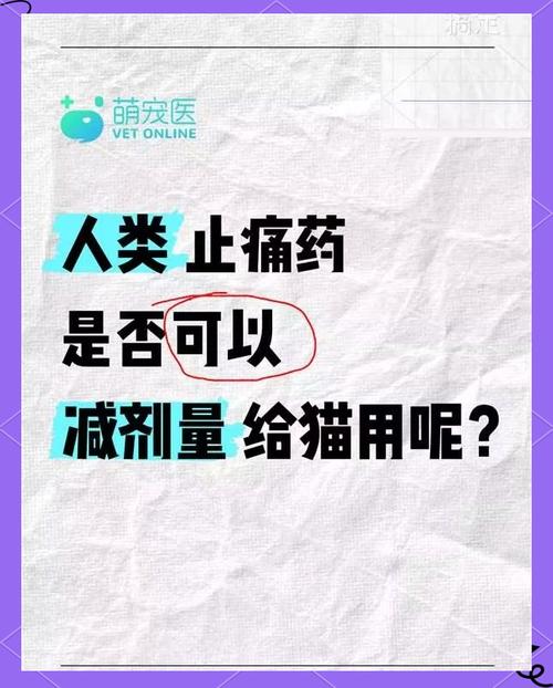 一粒布洛芬能把猫吃死吗_布洛芬对猫致命，误食需急救！