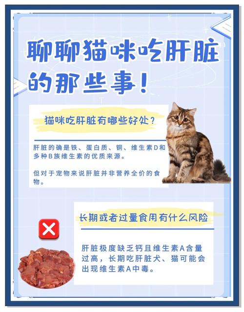 水煮鸡肝猫可以天天吃吗_猫可食少量煮熟鸡肝,富含营养但过量有风险 水煮鸡肝猫可以天天吃吗_猫可食少量煮熟鸡肝,富含营养但过量有风险