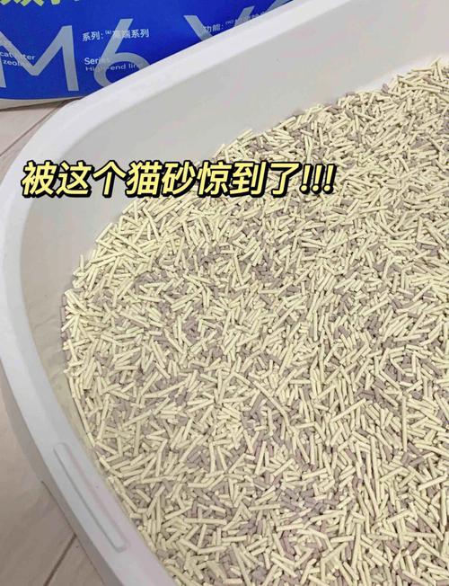 猫自己会用猫砂吗_选对猫砂盆,猫咪爱用不便秘 猫自己会用猫砂吗_选对猫砂盆,猫咪爱用不便秘