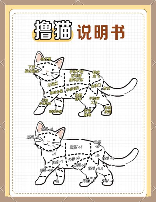 训猫的方法_猫咪趴姿看心情,科学训练要坚定 训猫的方法_猫咪趴姿看心情,科学训练要坚定