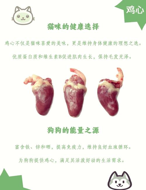 猫不吃鸡心鸡肝为啥_猫咪不爱吃鸡心鸡肝?原因与应对 猫不吃鸡心鸡肝为啥_猫咪不爱吃鸡心鸡肝?原因与应对