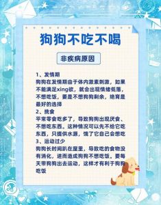 狗不吃不喝能活多久_狗狗不吃不喝很危险，注意观察及时处理！