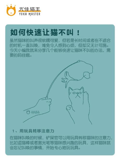 如何训练幼猫晚上不叫_营造舒适环境,白天多玩耍 如何训练幼猫晚上不叫_营造舒适环境,白天多玩耍