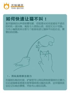 如何训练幼猫晚上不叫_营造舒适环境，白天多玩耍