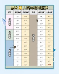 猫年龄对照表12年_猫咪11岁等于人60岁，寿命因照顾而异