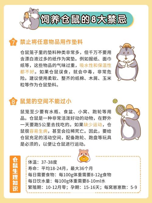 新手养仓鼠的十大禁忌_科学养仓鼠，选对笼子，喂好粮，保持清洁