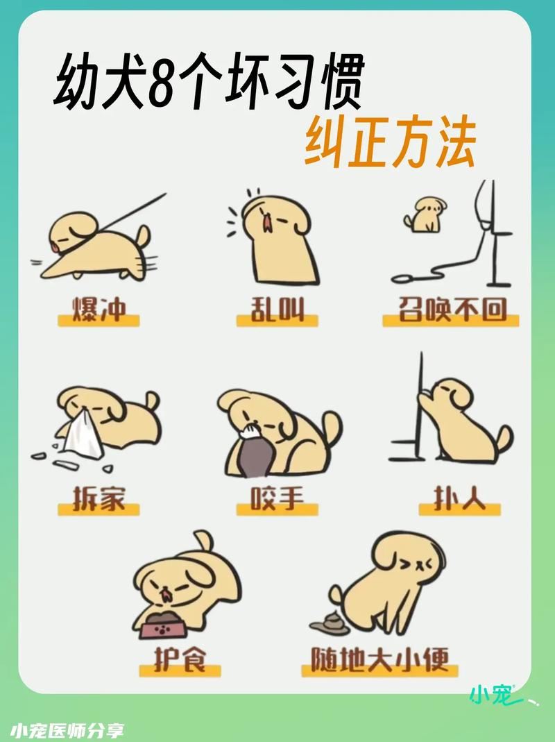 狗总是翻垃圾桶怎么改正_狗狗翻垃圾桶怎么办?试试这些方法! 狗总是翻垃圾桶怎么改正_狗狗翻垃圾桶怎么办?试试这些方法!