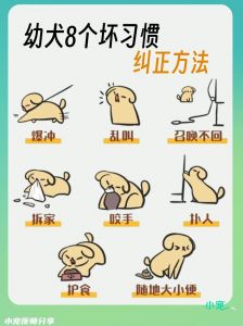 狗总是翻垃圾桶怎么改正_狗狗翻垃圾桶怎么办？试试这些方法！