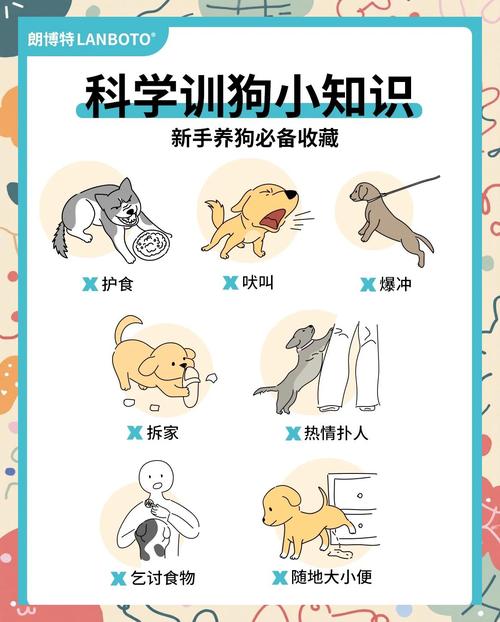 新手养狗注意事项及基础训练_养狗责任大,饮食健康行为管,科学喂养细观察 新手养狗注意事项及基础训练_养狗责任大,饮食健康行为管,科学喂养细观察