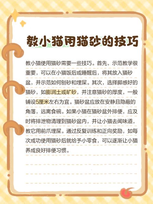 刺激小猫排便的正确姿势_新手养奶猫,学母猫舔屁屁,助排便防便秘 刺激小猫排便的正确姿势_新手养奶猫,学母猫舔屁屁,助排便防便秘
