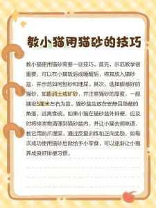 刺激小猫排便的正确姿势_新手养奶猫，学母猫舔屁屁，助排便防便秘
