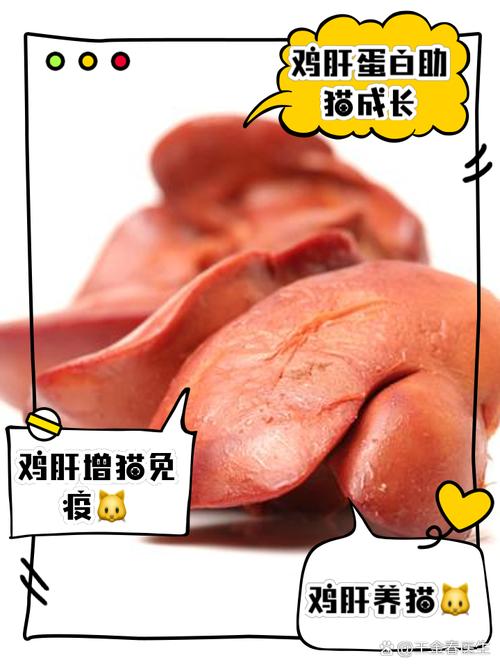 猫天天吃鸡肝鸡心好吗_猫鸡肝少吃,营养均衡才健康 猫天天吃鸡肝鸡心好吗_猫鸡肝少吃,营养均衡才健康