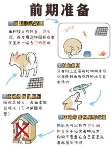 二个月幼犬上厕所训练_小犬围栏，大犬厕所，耐心引导，快速学会！