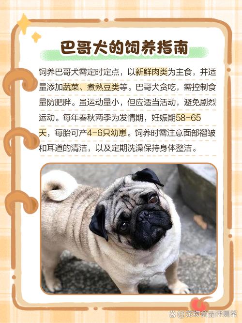 大狗吃葡萄干了怎么办_葡萄干对狗剧毒,立即联系兽医 大狗吃葡萄干了怎么办_葡萄干对狗剧毒,立即联系兽医