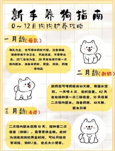 小奶狗吃撑了怎么办_小奶狗吃撑怎么办？禁食禁水观察，持续不适送医