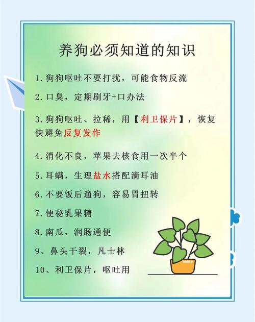 养狗注意事项_幼犬慢养育,健康好习惯 养狗注意事项_幼犬慢养育,健康好习惯
