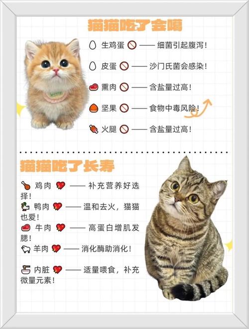 猫喜欢吃鸭肝还是鸡肝_猫咪肝要适量,鸭肝适口性更好 猫喜欢吃鸭肝还是鸡肝_猫咪肝要适量,鸭肝适口性更好