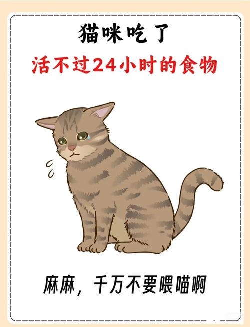 猫不能吃哪些东西_葡萄洋葱韭菜牛奶致命,科学喂养保健康! 猫不能吃哪些东西_葡萄洋葱韭菜牛奶致命,科学喂养保健康!