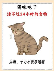 猫不能吃哪些东西_葡萄洋葱韭菜牛奶致命，科学喂养保健康！