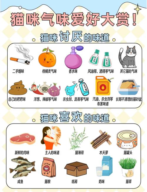 猫闻到什么气味会远离_猫咪敏感气味多,避开保护小猫咪 猫闻到什么气味会远离_猫咪敏感气味多,避开保护小猫咪