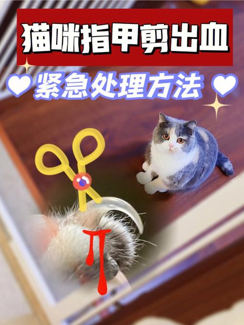 猫被剪到血线会有多疼_猫咪剪指甲别剪到血线疼 猫被剪到血线会有多疼_猫咪剪指甲别剪到血线疼