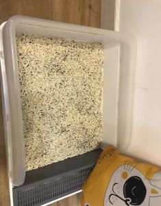 猫突然不往猫砂盆拉屎_猫咪不拉屎怎么办？原因及解决方法