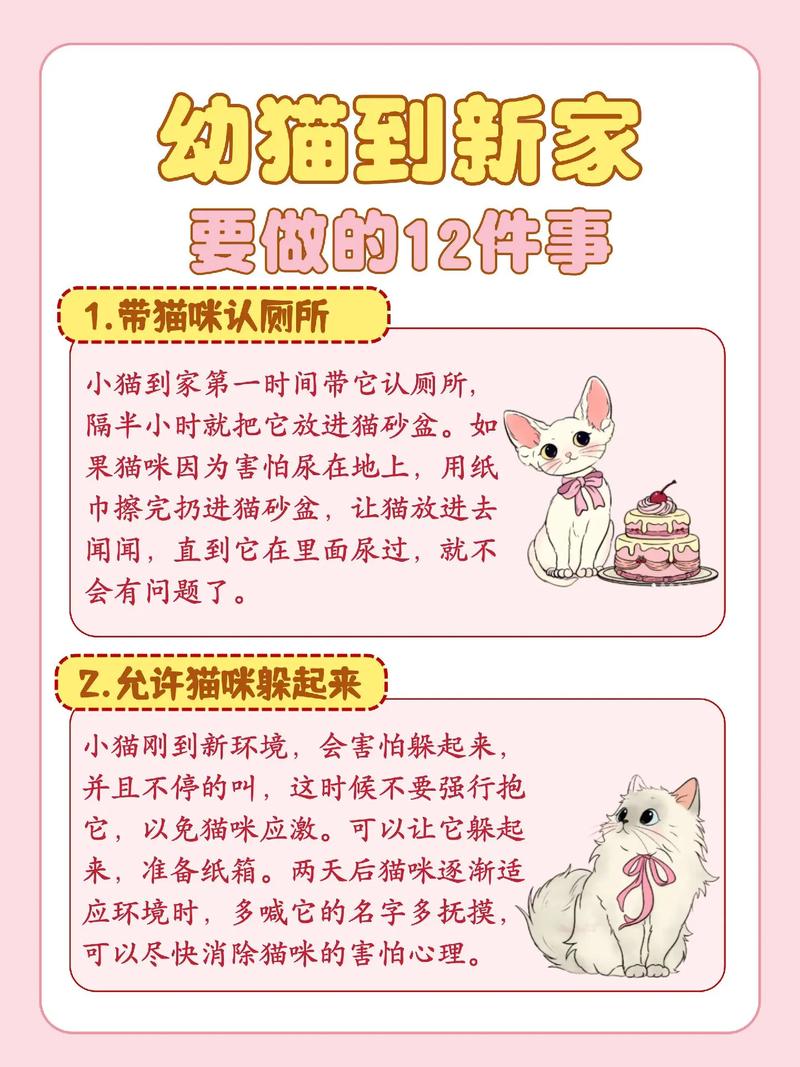 如何养猫新手教程_新手养猫准备与注意事项 如何养猫新手教程_新手养猫准备与注意事项