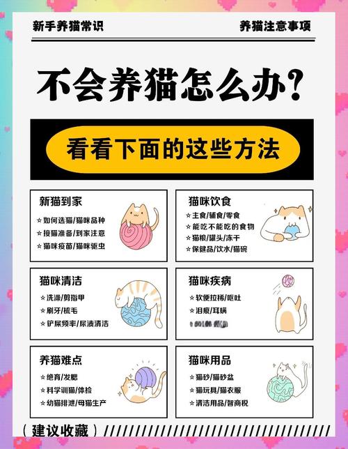 如何让猫不爬到床上_猫咪上床怎么办?备专属猫窝,调整作息,耐心引导 如何让猫不爬到床上_猫咪上床怎么办?备专属猫窝,调整作息,耐心引导