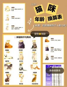 猫几个月算成年了_小猫几个月算成年？猫咪成长小知识