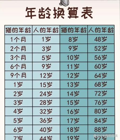 猫与人年龄对照表_1岁等于15岁?科学喂养助长寿! 猫与人年龄对照表_1岁等于15岁?科学喂养助长寿!