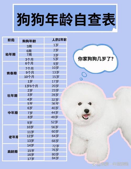 狗的8岁相当于人的多少岁_不同体型差异大,科学饲养延缓衰老 狗的8岁相当于人的多少岁_不同体型差异大,科学饲养延缓衰老