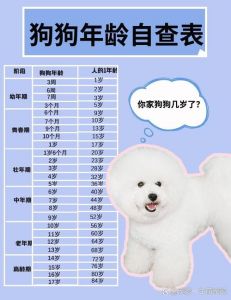 狗的8岁相当于人的多少岁_不同体型差异大，科学饲养延缓衰老