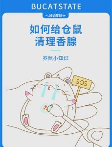 母仓鼠有香腺吗_仓鼠香腺清理方法，公母有别