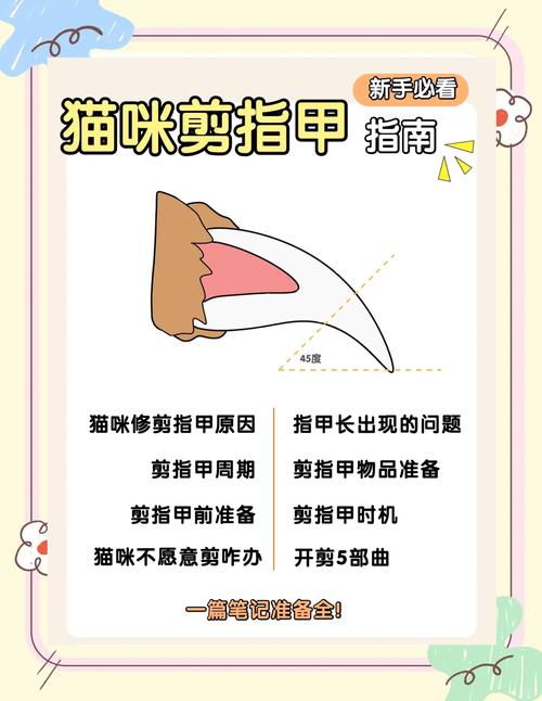 怎样把猫逮着剪指甲_巧用道具零食,温柔安抚 怎样把猫逮着剪指甲_巧用道具零食,温柔安抚
