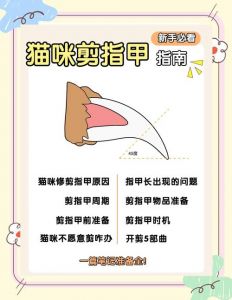 怎样把猫逮着剪指甲_巧用道具零食，温柔安抚