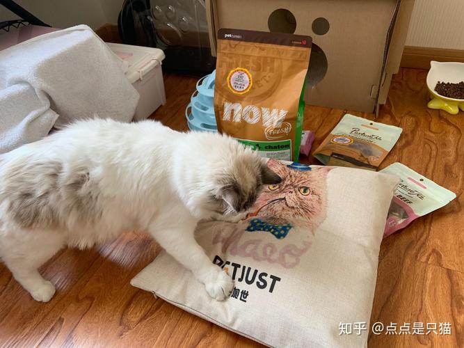 10斤布偶猫一天吃多少_10斤布偶猫喂多少粮?科学喂养看这里 10斤布偶猫一天吃多少_10斤布偶猫喂多少粮?科学喂养看这里