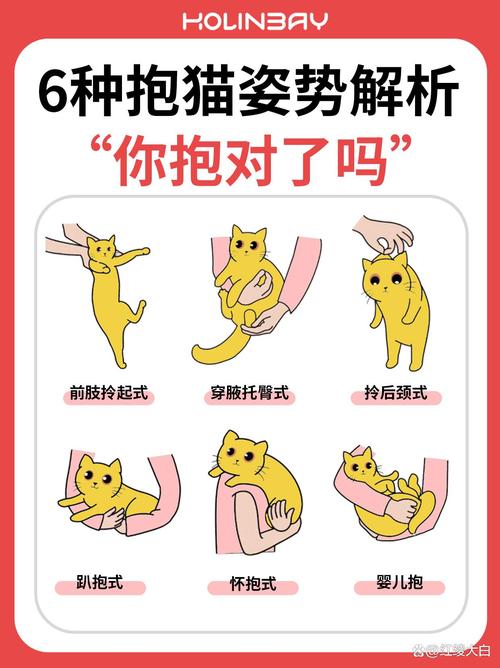 养猫的男生千万不要裸睡_养猫男生别裸睡,防猫尿味伤身,猫咪胡须还预天气 养猫的男生千万不要裸睡_养猫男生别裸睡,防猫尿味伤身,猫咪胡须还预天气