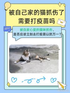 猫挠完人自己知道吗_猫咪挠人后知不知道？