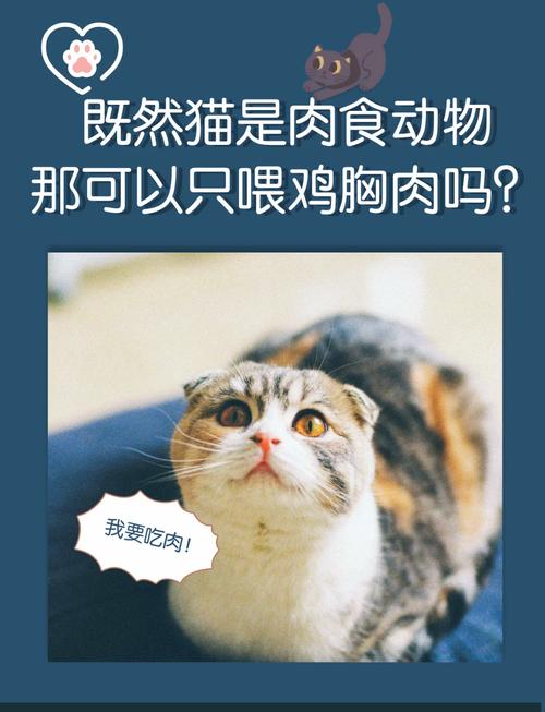 猫长期吃鸡胸肉会怎么样_美味零食,营养补充,科学喂养保健康 猫长期吃鸡胸肉会怎么样_美味零食,营养补充,科学喂养保健康