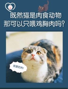 猫长期吃鸡胸肉会怎么样_美味零食，营养补充，科学喂养保健康