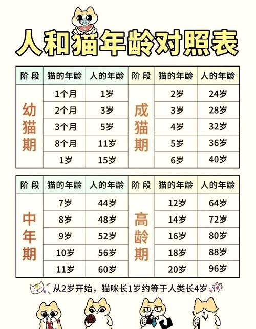 10个月猫咪相当于人几岁_我家十个月猫像少年,精力旺盛需引导 10个月猫咪相当于人几岁_我家十个月猫像少年,精力旺盛需引导