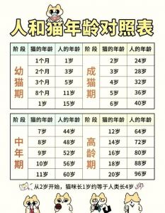 10个月猫咪相当于人几岁_我家十个月猫像少年，精力旺盛需引导
