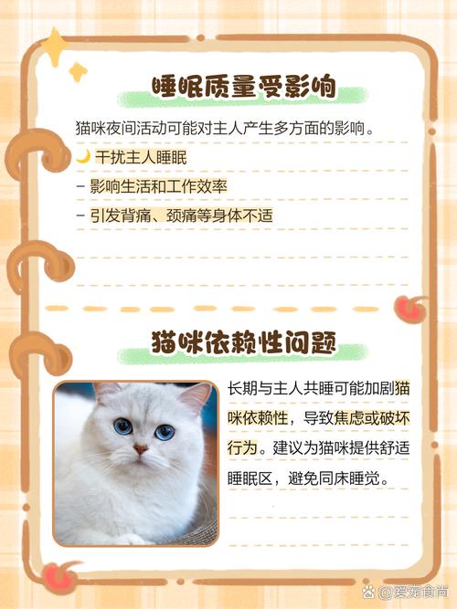 让猫上床睡觉的危害_半夜猫跑酷扰人眠,同睡有隐患 让猫上床睡觉的危害_半夜猫跑酷扰人眠,同睡有隐患