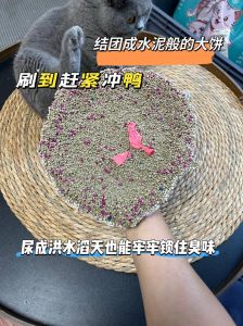 一只猫猫一个月几斤猫砂_猫咪每月用多少猫砂？